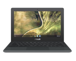 Dotykowy Laptop Asus C204
