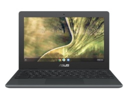 Laptop Asus C204 2w1