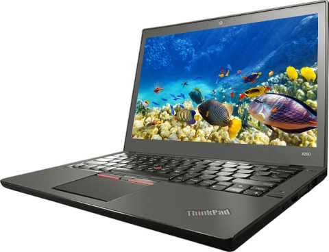 Laptop Lenovo ThinkPad X250 Intel i5 | 12" | 8GB | 180GB SSD | Windows 11